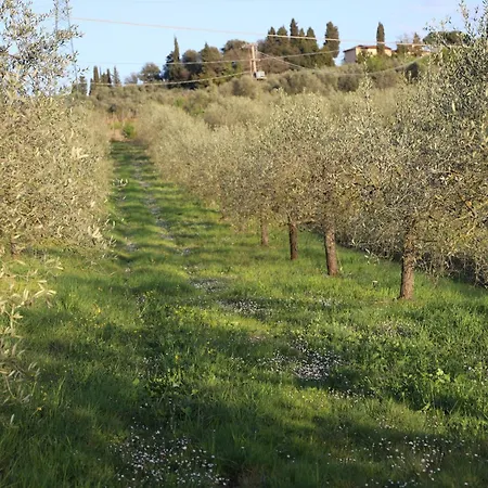 Podere Giglio *