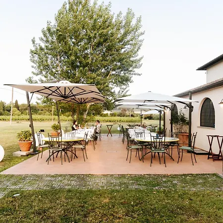Podere Giglio Villanova (Tuscany)